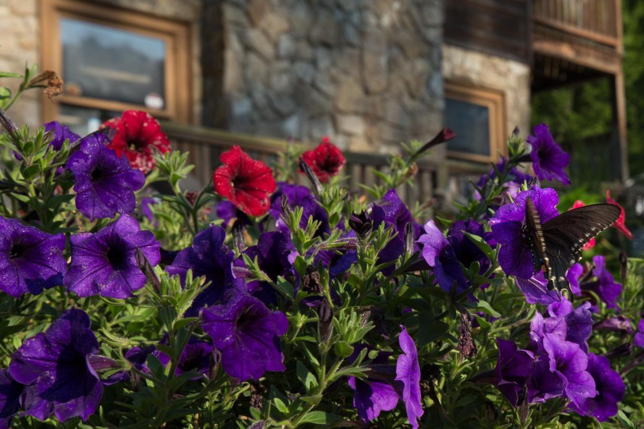 Villa Springmaid Mountain Spruce Pine Exterior foto
